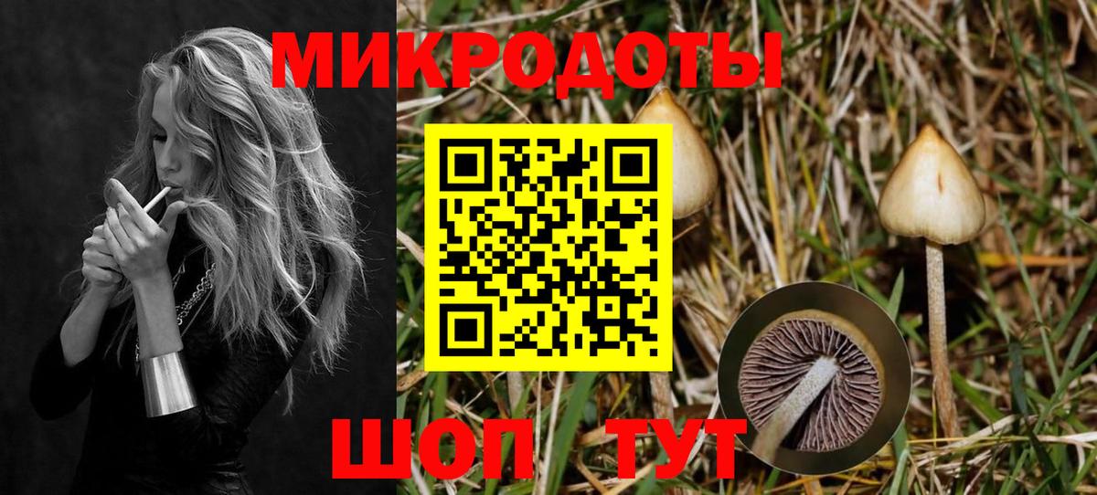 Новороссийск  Галлюциногенные грибы прущие грибы  Галлюциногенные грибы Psilocybine cubensis  Вход с VPN 